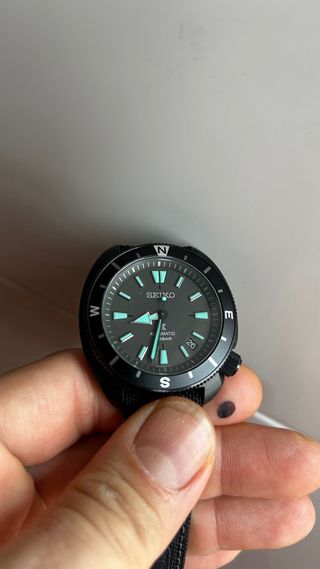 Seiko Land Tortuga Black Series Nightvision