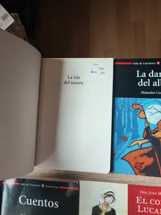 Lote de cuentos clásicos.