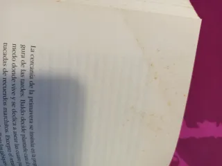 Días de sal (La otra orilla) (Spanish Edition)