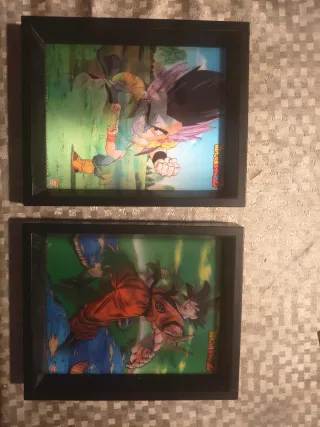 2 Cuadros 3D Dragon Ball Z