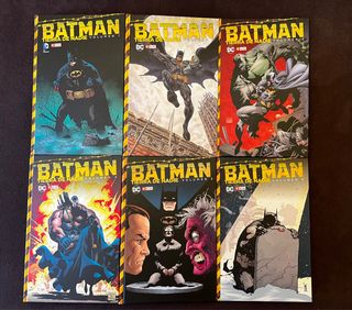 Batman Tierra de Nadie 1-6