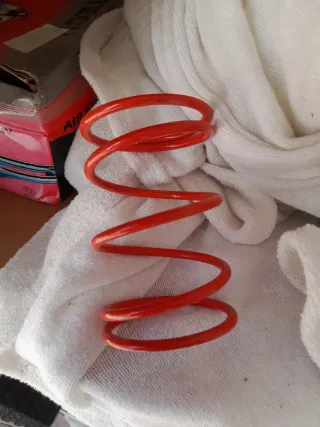 Molla di contrasto Malossi