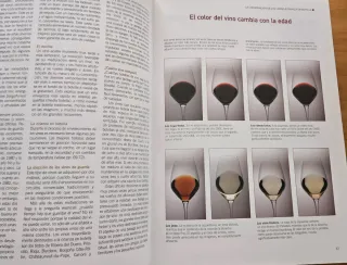 Los Vinos (Spanish Edition)