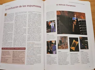 Los Vinos (Spanish Edition)