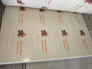 Tina Superbruixa i l'embruix del Nadal (Bruixol...