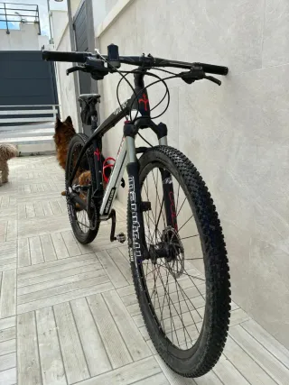 Bicicleta carbono Wilier 501XN