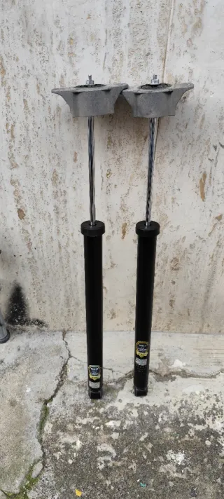 Ammortizzatori posteriori Ford Focus mk2