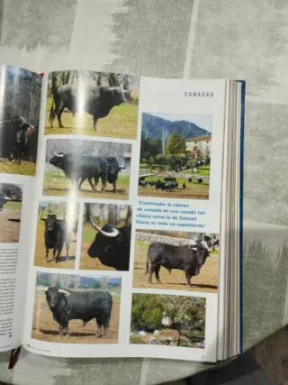 Revistas 6 Toros 6 - Año 2003 - Tomo 1