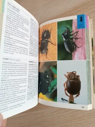 Lote de libros Insectos, Aves y Mamíferos, Blume