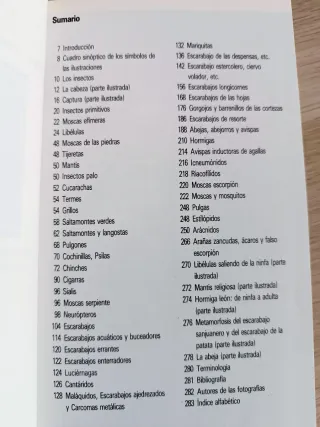 Lote de libros Insectos, Aves y Mamíferos, Blume