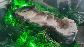 Fuente resina plantas artificiales luz LED