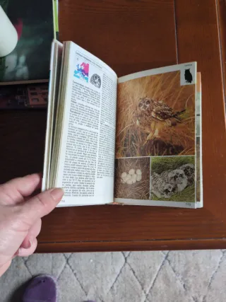 Aves Terrestres (Spanish Edition)