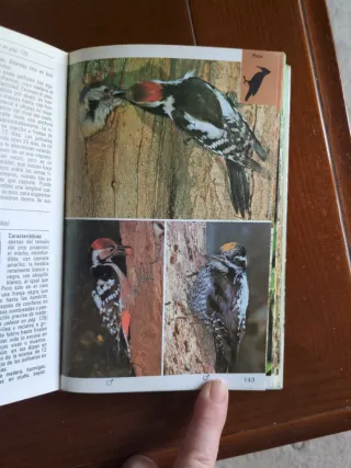 Aves Terrestres (Spanish Edition)