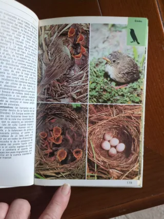 Aves Terrestres (Spanish Edition)