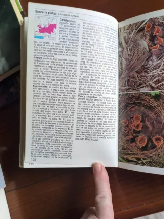 Aves Terrestres (Spanish Edition)