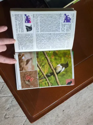 Aves Terrestres (Spanish Edition)