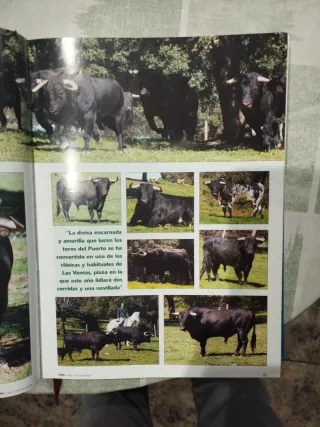 Revistas 6 Toros 6 - 2003 Tomo 2
