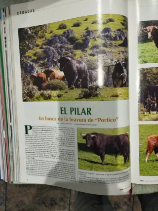 Revistas 6 Toros 6 - 2003 Tomo 2