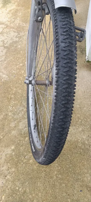 Bicicleta de paseo plateada