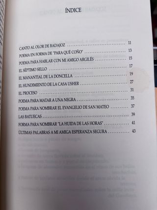 Lote Libros poesíay vivencias