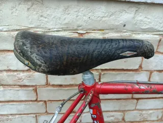 Bicicleta Massi da Corsa Campagnolo