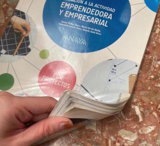 Iniciación a la Actividad Emprendedora y Empres...