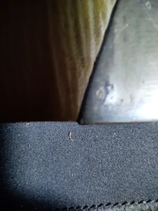 Libro antiguo plata 1902