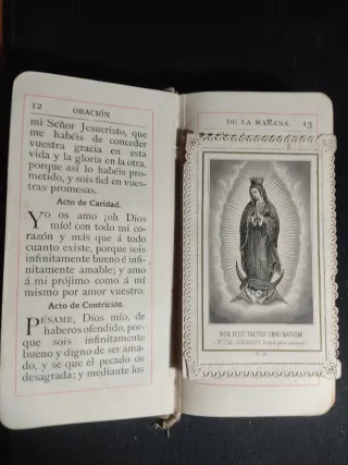 Libro antiguo plata 1902