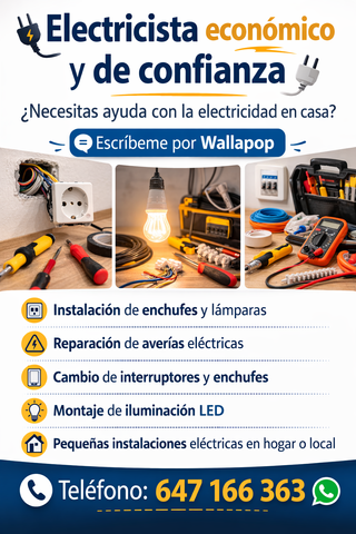 Electricista Economico StaColoma