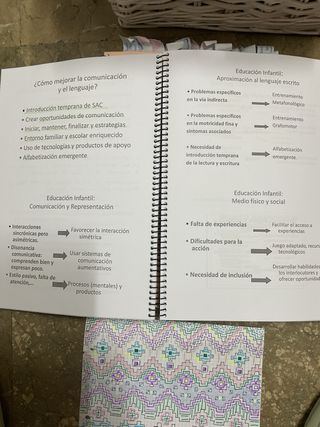 Apuntes magisterio infantil