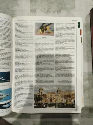 Diccionario Enciclopedico Ilustrado Susaeta