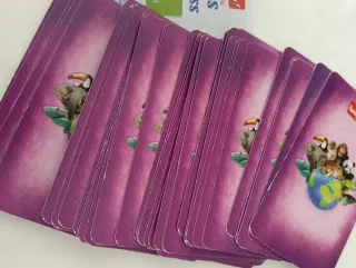 Juego de cartas Desafíos Naturaleza Bioviva!
