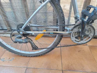 Bicicleta de adulto plateada