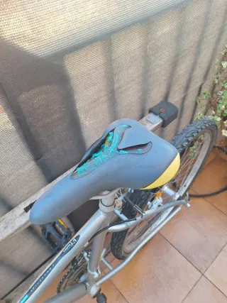 Bicicleta de adulto plateada