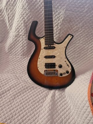 Guitarra Eléctrica Parker