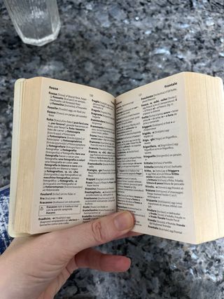 Diccionarios de bolsillo: ingles, aleman e itaiano