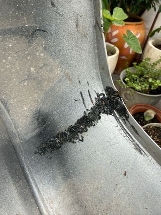 Paragolpes Trasero Seat Arosa