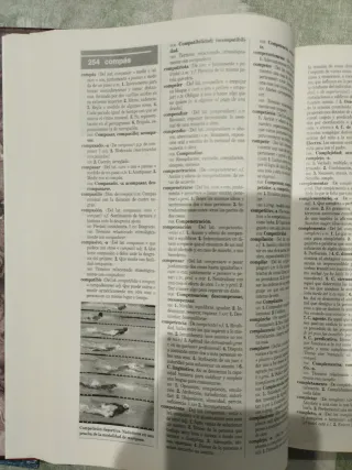 Diccionario Anaya de la Lengua