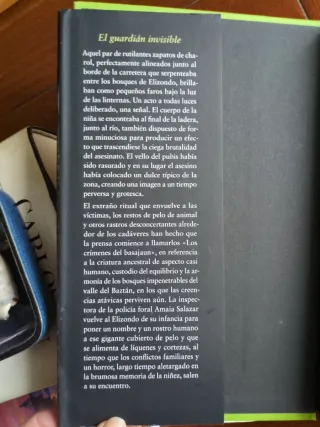 El guardián invisible