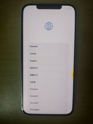 iPhone 12 Pro Max 256GB Blanco