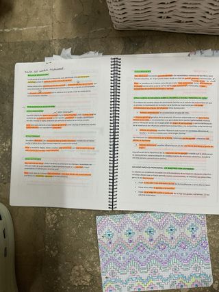 Apuntes magisterio infantil