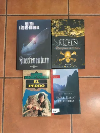 Lote de libros variados