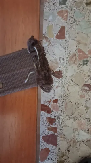 Cintura resistente marrone