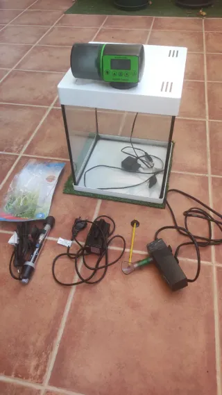 Pecera con accesorios