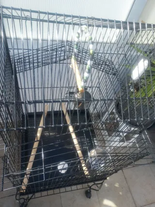 Jaula grande para pájaros