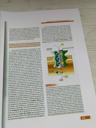 Fundamentos de Psicobiología UNED