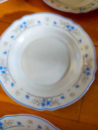 6 Platos soperos Arcopal romantique