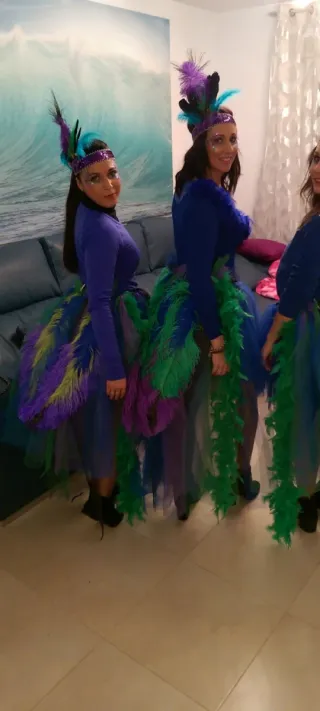 Disfraz Carnaval Pavo Real Plumas