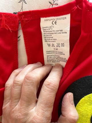 Disfraz Chica Robin Talla M