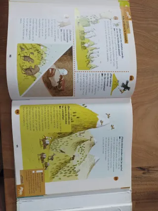 Tu primer Vox de los Por que?/ Your First Vox o...